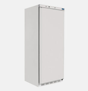 10494 Armoire réfrigérée positive 600 lit